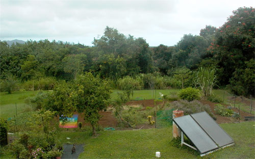 Our veggie garden in October 2006